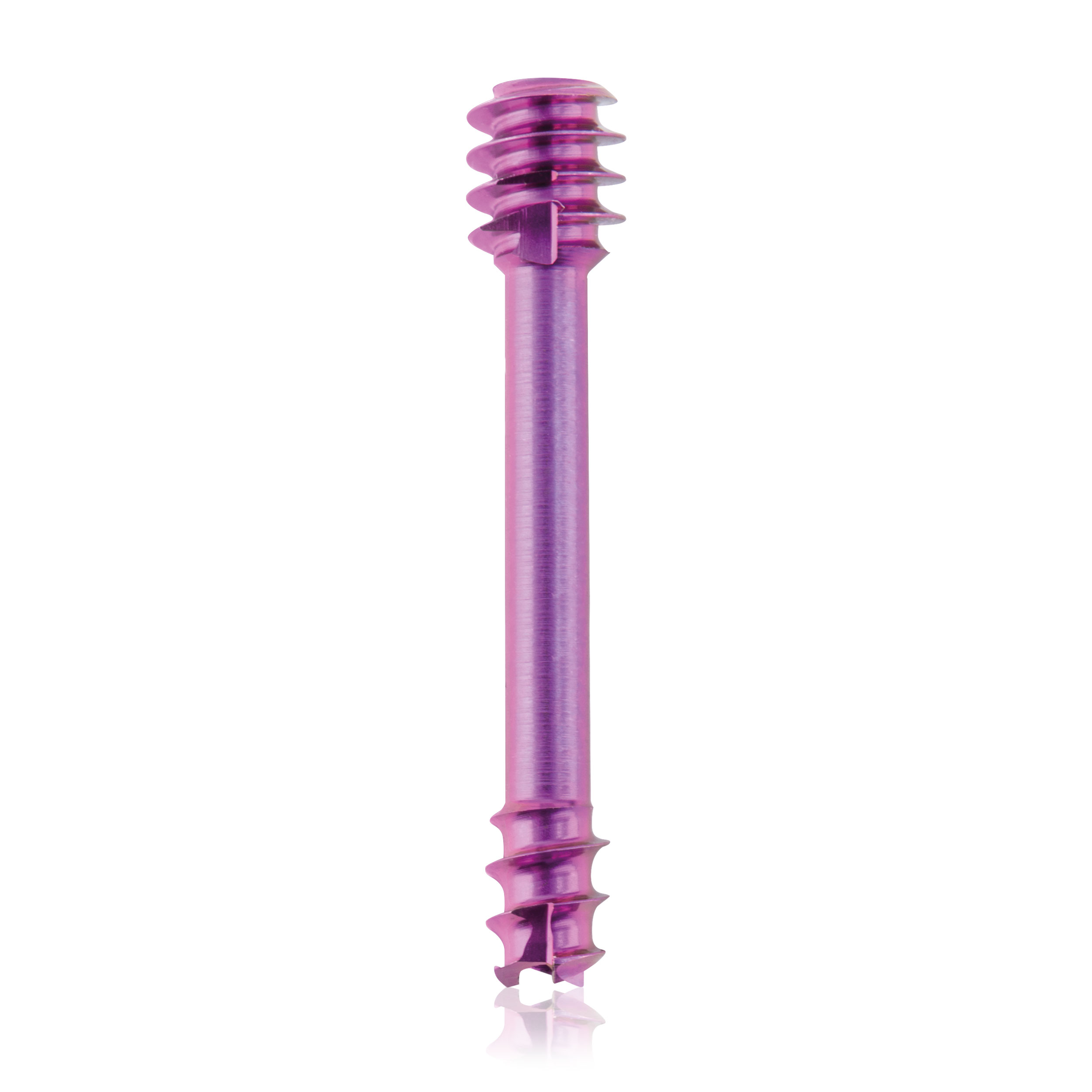 L = 18mm